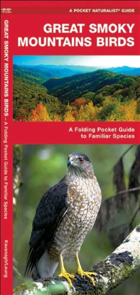 Great Smoky Mountains Birds: A Folding Pocket Guide to Familiar Species ...