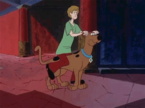 Scooby Doo GIFs - Get the best GIF on GIPHY