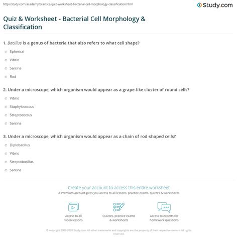 Quiz And Worksheet Bacterial Cell Morphology And Classification