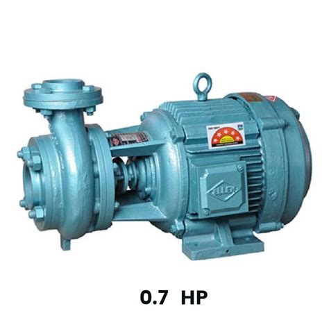 Ellen 0 7HP Single Phase Centrifugal Monoblock Pump At 6500 Piece