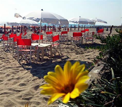 Stabilimenti Balneari Ardea Prenotazione Spiagge Pagina