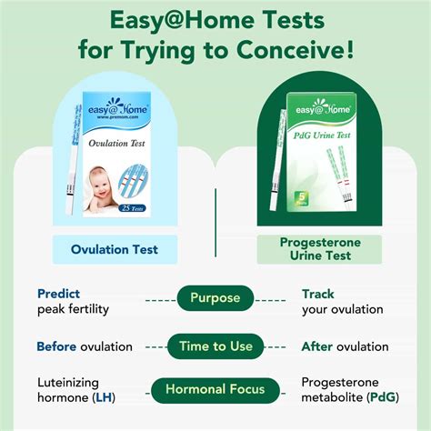 how to test pdg at home