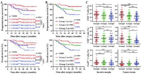 The Association Of Coexpression Of Cmtm6pd L1 With The Infiltration Of