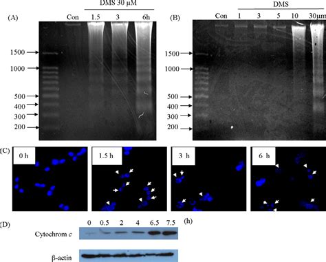 Figure From Characterization Of N N Dimethyl D Erythro Sphingosine