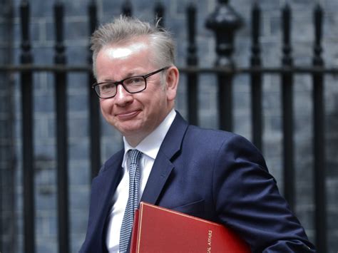 Michael Gove Could Use Brexit To Shelve Key Plan To Protect The