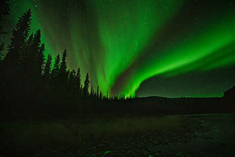 Northern Lights | Cristinamittermeier