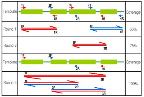 Schematic Representation Of The ASAP Approach Three Rounds Of PCR