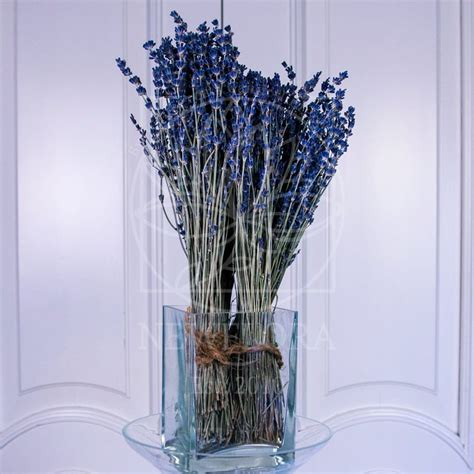 Лаванда сухая импортная (25-30см) купить с доставкой в СПб