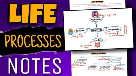 Life Processes Notes For Class 10 Session 2022 23 Approved By Cbse