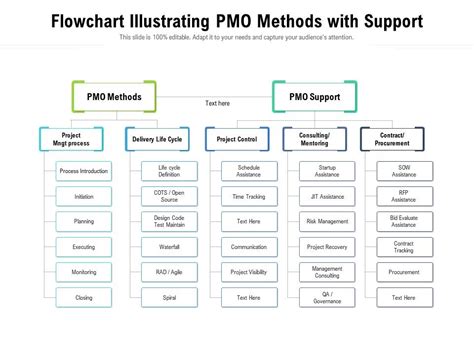 PMO Process Flow