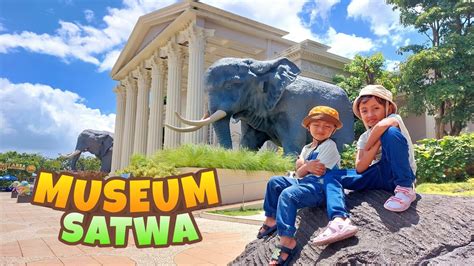 Bermain Sambil Belajar Mengenal Hewan Di Museum Satwa Jatim Park