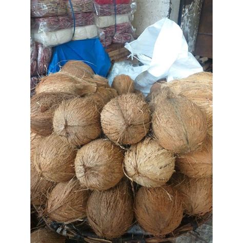 A Grade Solid Semi Husked Coconut Packaging Size 60Kg Coconut Size