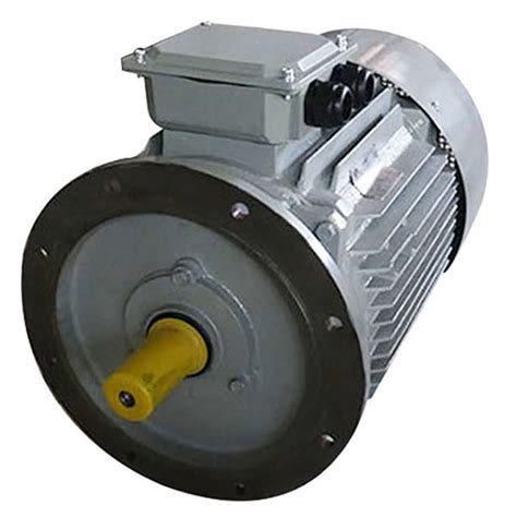 Brushless Ac Three Phase Induction Motor 15kw 20hp 380v 400v 3000rpm Y2