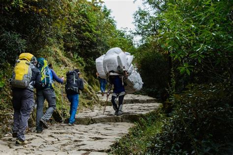 Premium Photo | Trekking in nepal, himalayas