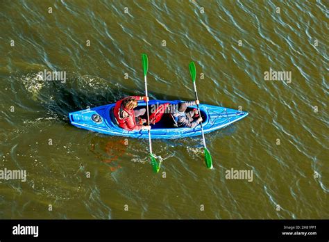 Les jeunes s entraînent dans la pratique du kayak sur le fleuve Dniepr