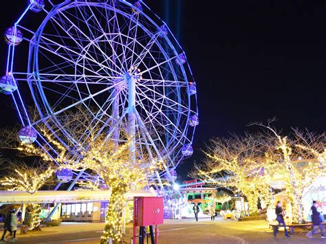 宇部・ときわ公園で「tokiwaファンタジア」 イルミ作品多数展示 山口宇部経済新聞