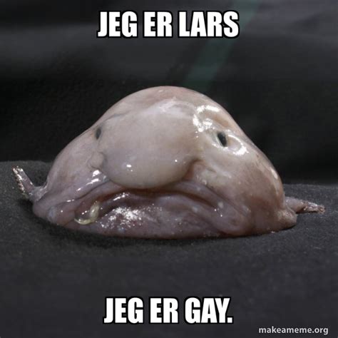 Jeg Er Lars Jeg Er Gay Blobfish Meme Generator