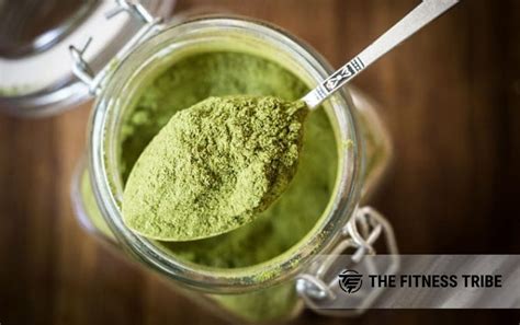 Green Superfood Powder: Overview and Options - The Fitness Tribe