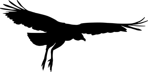 15 Bird Silhouette (PNG Transparent) | OnlyGFX.com