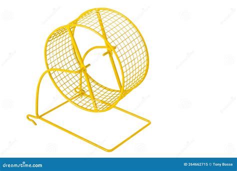 Hamster Wheel, Isolated stock image. Image of isolated - 264662715