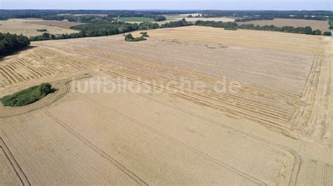 Zapel von oben - Getreidefeld in Zapel im Bundesland Mecklenburg ...