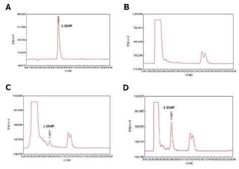 Chromatogram Of 1 OHP By HPLC Fluorescence Detector System A 10 Ng Ml