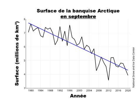 Ce que les ours polaires nous apprennent des climato dénialistes