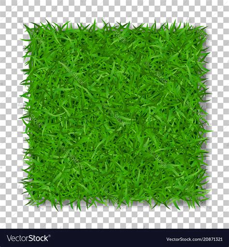 Grass Square 3d Beautiful Green Grassy Field Vector Image