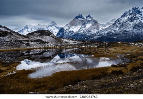 425 Puma Torres Del Paine National Park Chile Images, Stock Photos, 3D ...