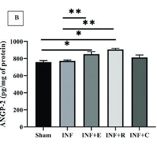 Effect Of Exercise Preconditioning On The Angiogenic Proteins Level A