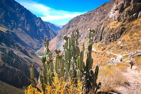 Trek En El Ca N Del Colca Precios Consejos Y M S Informaci N