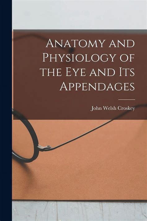 Anatomy And Physiology Of The Eye And Its Appendages