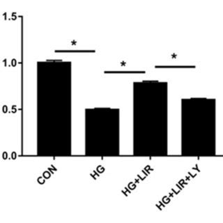 Npcs Proliferation Activity Under Different Treatments Cell Counting