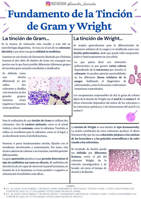 Fundamentos De La Tinción De Gram Y Wright Fundamento De La Tinción De Gram Y Wright Lo Que