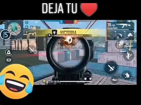 Hombre Se Coge A Perras XVIDEOS