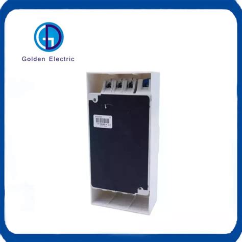 Adjustable Residual Current Circuit Breaker 230V 400V 2p 4p Pg Series