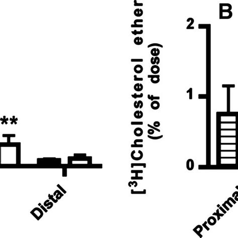 Npc1l1 Ezetimibe And Cholesterol Metabolism Download Scientific Diagram