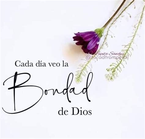 Pin En Bellos Mensajes En 2024 Frases De Bendiciones Agradecida Con Dios Frases Frases De