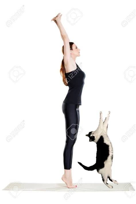 PsBattle: this cat stretching : r/photoshopbattles