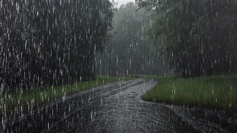 Just Minutes Of Rain Sounds To Sleep Better And Relax Rain In The