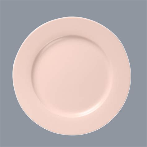 Manufacturer Of Hotel And Restaurant Solid Pink Color Porcelain Dinner