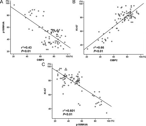 Graphic Representation Of Relationship Between CtBP2 P16 INK4A And