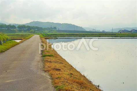 水を張った田んぼ 水鏡 No 2446832｜写真素材なら「写真ac」無料（フリー）ダウンロードok