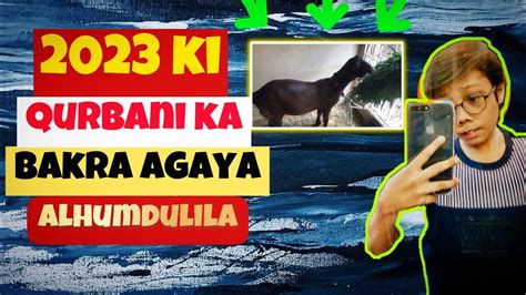 2023 Ki Qurbani Ka Bakra Kharid Lia Mashallah My 2nd Vlog SHAYAN