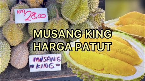 MUSANG KING PAHANG DI BERTAM KEPALA BATAS PENANG MUSIM DURIAN