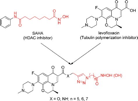 Design Of Dual Acting Levofloxacin Hdaci Conjugates Download