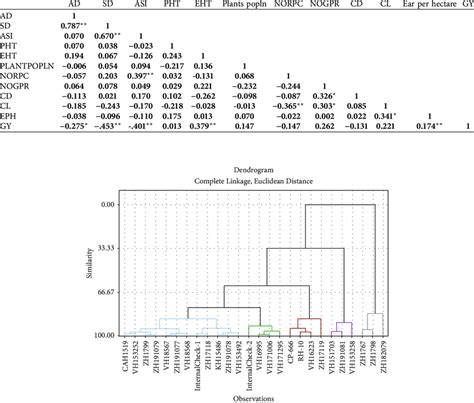 Phenotypic Correlation Among Yield And Yield Attributing Traits