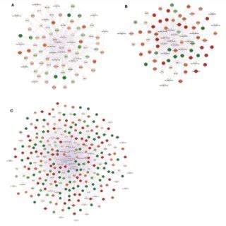 Global View Of The MiRNA LncRNA MRNA Interaction Networks MiRNAs Are