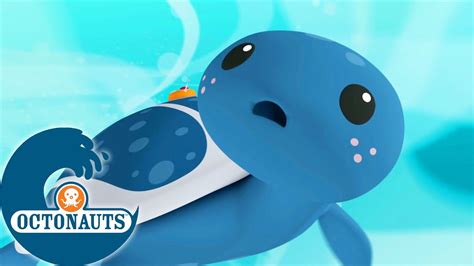 Octonauts Le tourbillon géant Dessins animés pour enfants