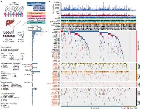 Knockout Cell Lines Ubigene